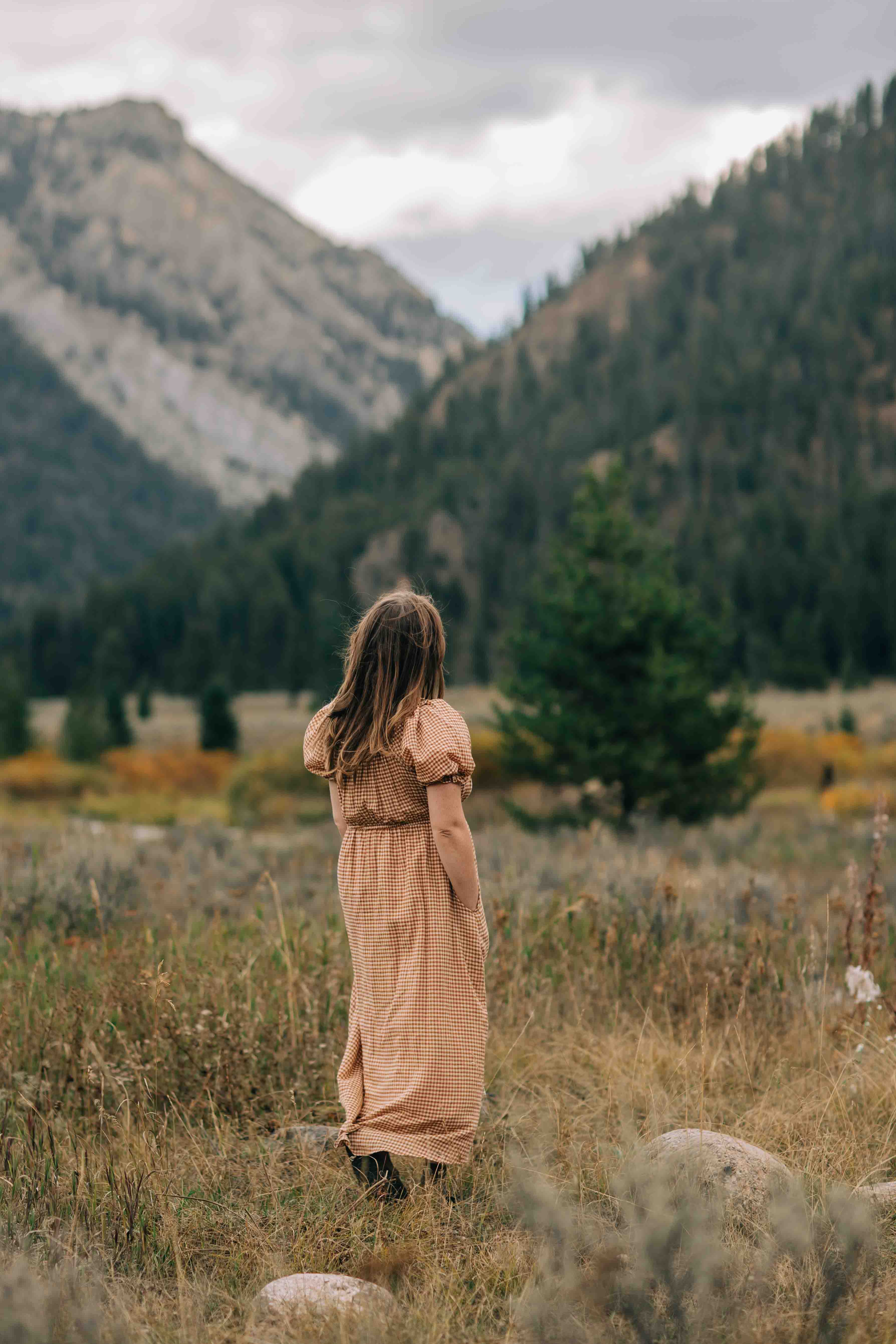 Franklin Dress